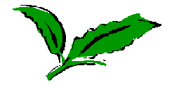 Kokosnuss Logo